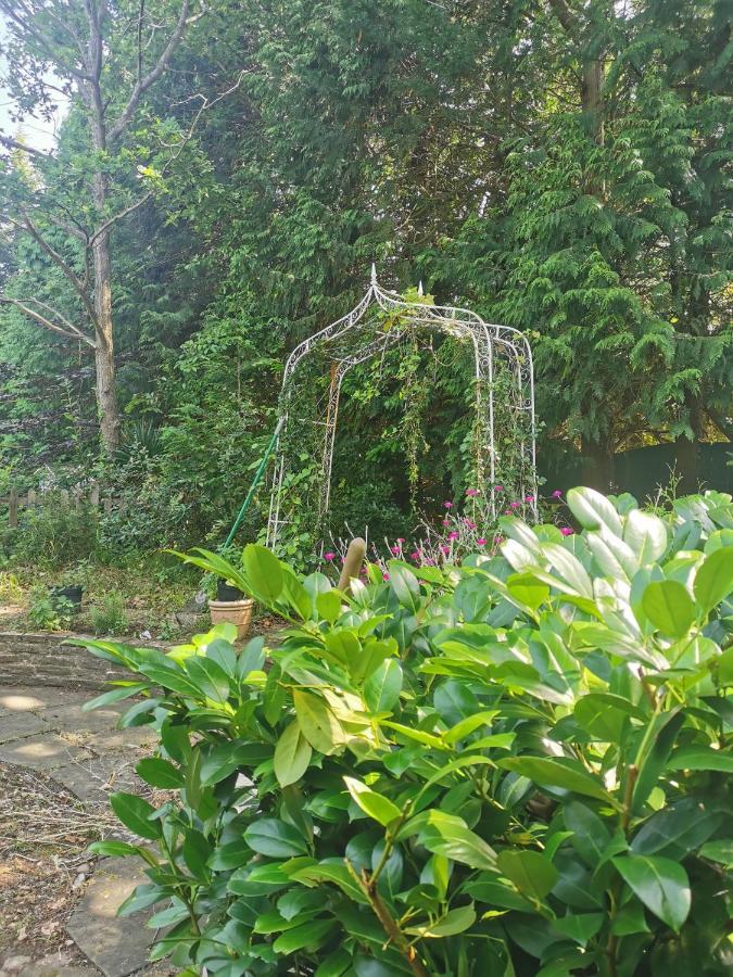 Apartament Peaceful Retreat Hideaway Surrey Esher Zewnętrze zdjęcie